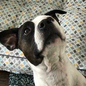 Meet your Posher, Ricky